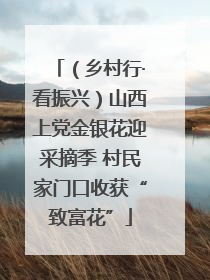 （乡村行·看振兴）山西上党金银花迎采摘季 村民家门口收获“致富花”