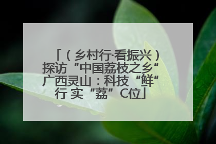 （乡村行·看振兴）探访“中国荔枝之乡”广西灵山：科技“鲜”行 实“荔”C位