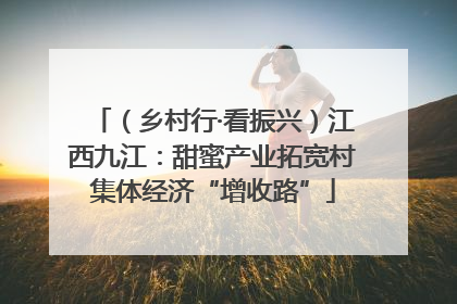（乡村行·看振兴）江西九江：甜蜜产业拓宽村集体经济“增收路”