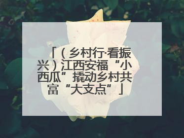 （乡村行·看振兴）江西安福“小西瓜”撬动乡村共富“大支点”
