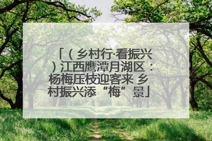 （乡村行·看振兴）江西鹰潭月湖区：杨梅压枝迎客来 乡村振兴添“梅”景