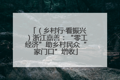 （乡村行·看振兴）浙江嘉善：“零工经济”助乡村民众“家门口”增收