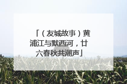 （友城故事）黄浦江与默西河，廿六春秋共潮声