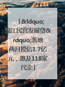 “锦江民营发展贷”落地两月授信1.7亿元，惠及118家民企