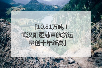 10.81万吨！武汉阳逻港直航货运量创十年新高