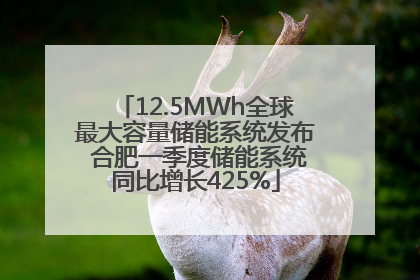 12.5MWh全球最大容量储能系统发布 合肥一季度储能系统同比增长425%