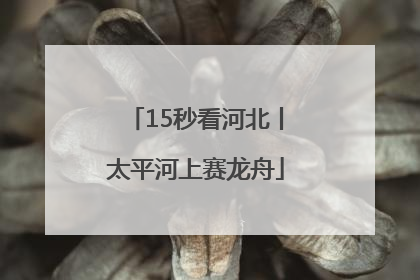 15秒看河北丨太平河上赛龙舟