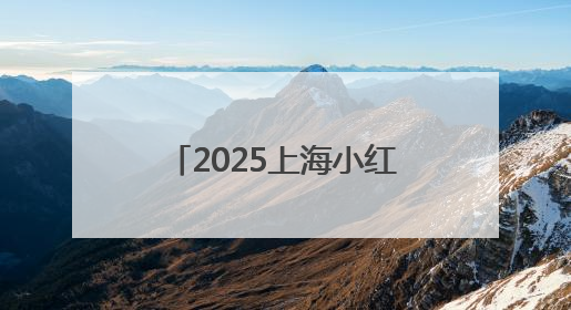 2025上海小红书营销公司 上海小红书营销公司