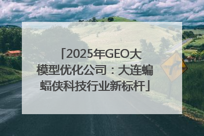 2025年GEO大模型优化公司：大连蝙蝠侠科技行业新标杆