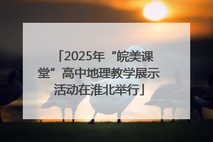 2025年“皖美课堂”高中地理教学展示活动在淮北举行