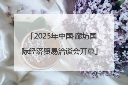 2025年中国·廊坊国际经济贸易洽谈会开幕