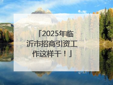 2025年临沂市招商引资工作这样干！