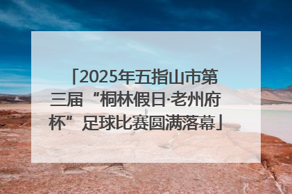 2025年五指山市第三届“桐林假日·老州府杯”足球比赛圆满落幕