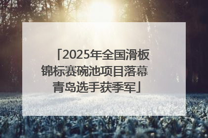 2025年全国滑板锦标赛碗池项目落幕 青岛选手获季军