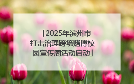 2025年滨州市打击治理跨境赌博校园宣传周活动启动