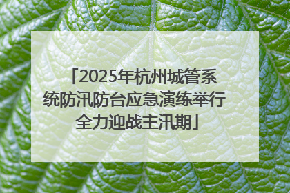 2025年杭州城管系统防汛防台应急演练举行 全力迎战主汛期