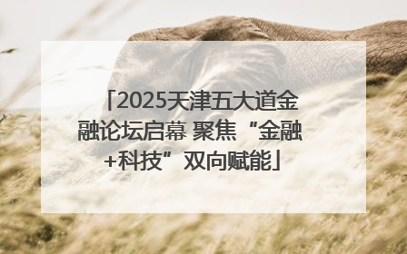 2025天津五大道金融论坛启幕 聚焦“金融+科技”双向赋能