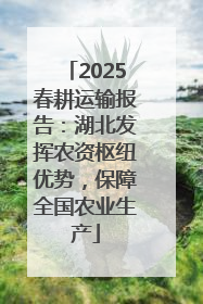 2025春耕运输报告：湖北发挥农资枢纽优势，保障全国农业生产