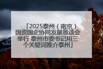 2025泰州（南京）国资国企协同发展恳谈会举行 泰州市委书记用三个关键词推介泰州
