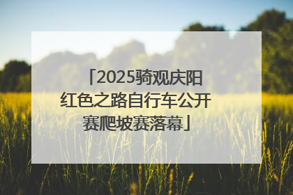 2025骑观庆阳红色之路自行车公开赛爬坡赛落幕