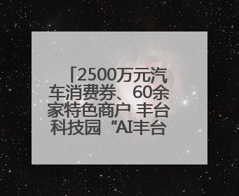 2500万元汽车消费券、60余家特色商户 丰台科技园“AI丰台 更京彩”未来玩家市集活动正式开幕