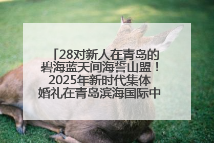 28对新人在青岛的碧海蓝天间海誓山盟！2025年新时代集体婚礼在青岛滨海国际中心文明实践广场举行