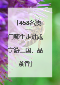 458名澳门师生走进咸宁游三国、品茶香