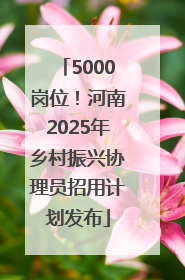5000岗位！河南2025年乡村振兴协理员招用计划发布