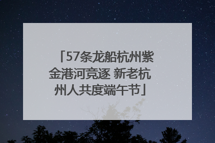 57条龙船杭州紫金港河竞逐 新老杭州人共度端午节