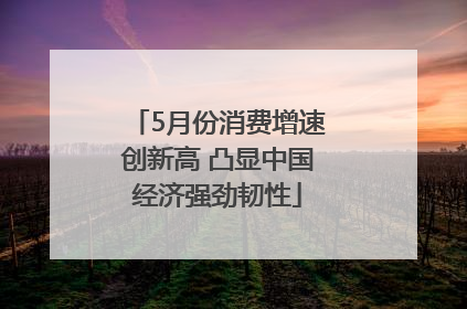 5月份消费增速创新高 凸显中国经济强劲韧性