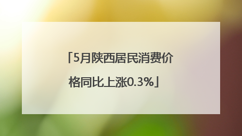 5月陕西居民消费价格同比上涨0.3%