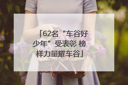 62名“车谷好少年”受表彰 榜样力量耀车谷