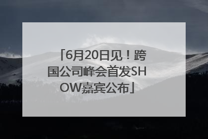 6月20日见！跨国公司峰会首发SHOW嘉宾公布