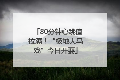 80分钟心跳值拉满！“极地大马戏”今日开耍