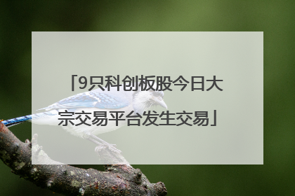 9只科创板股今日大宗交易平台发生交易