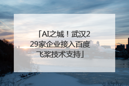 AI之城！武汉229家企业接入百度飞桨技术支持