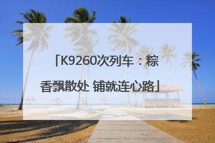 K9260次列车：粽香飘散处 铺就连心路