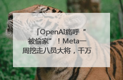 OpenAI痛呼“被偷家”！Meta一周挖走八员大将，千万美元薪酬战开打