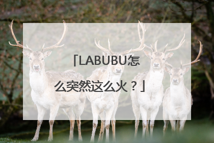 LABUBU怎么突然这么火？