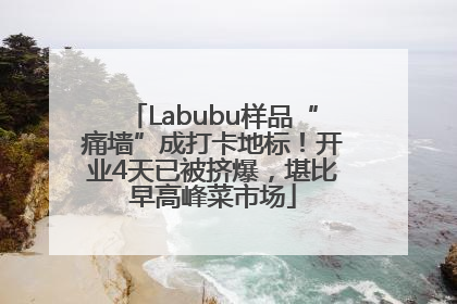Labubu样品“痛墙”成打卡地标！开业4天已被挤爆，堪比早高峰菜市场
