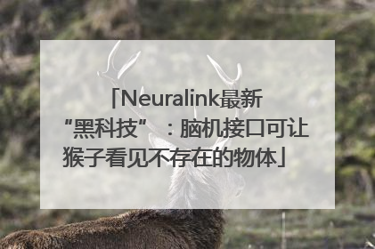 Neuralink最新“黑科技”：脑机接口可让猴子看见不存在的物体