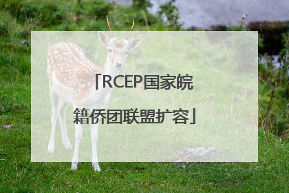 RCEP国家皖籍侨团联盟扩容