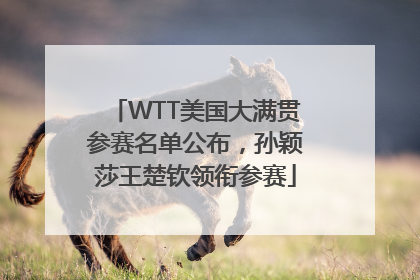 WTT美国大满贯参赛名单公布，孙颖莎王楚钦领衔参赛